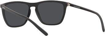 ARNETTE Sunglasses AN 4301 275887 Fry Matte Black Dark Grey