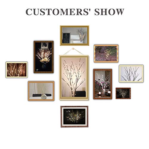 Hairui Lighted Artificial Twig Birch Branch With Fairy Lights 30In 100 Led Battery Operated, White Willow Branch With Lights For Christmas Holiday Wedding Party Decoration #TOP7