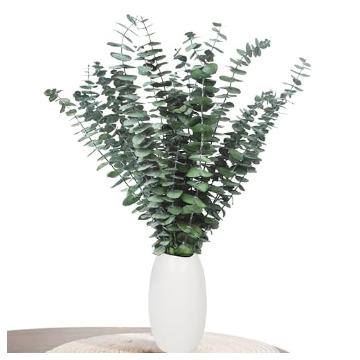 Aufisi Eukalyptus Deko - 22 Stück Getrockneter Eukalyptus (43cm+), Eukalyptus Getrocknet für Deko, Hochzeiten, Wohnaccessoires, Trockenblumen Arrangement, Grün