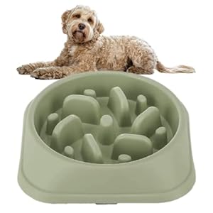 PTROUT Plastic Slow Feeder Dog Bowl, dog bowls Prevent Choking and Overeating for Medium & Small Dogs Puzzle Pet Healthy Feeding Bowls with Non-Slip Rubber Feet