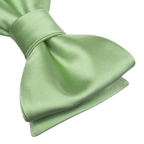 Image of Dubulle Self Tie Bow Ties and Lapel Pin for Men Paisley Solid Mens Bowtie and Handkerchief Cufflinks Set Wedding