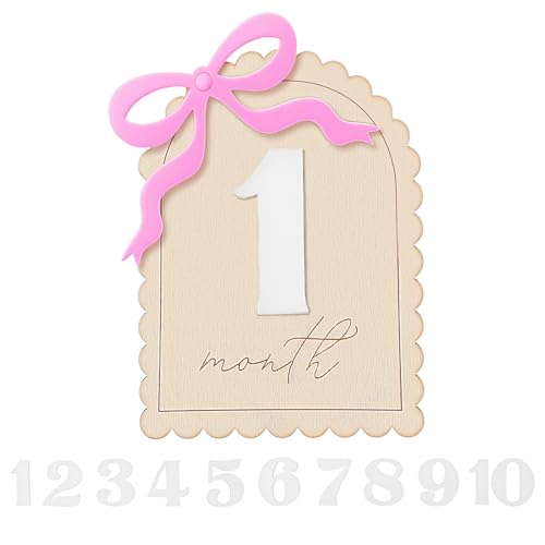 Monthly Milestone Signs, Baby Monthly Milestone Sign, Wooden Baby Month Milestones Cards for 1-12 Month Photo Props, Birthday Party Decorations