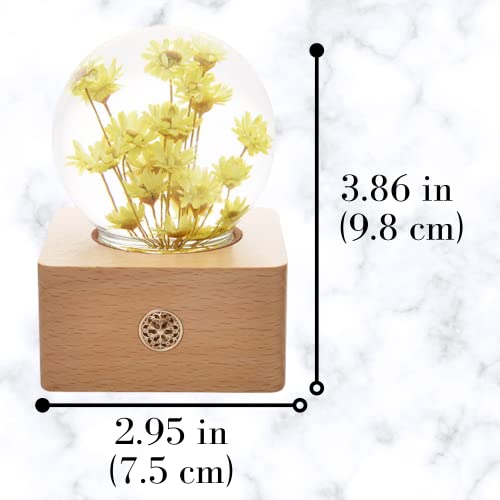 Ellington Gifts Preserved Flower Glass Ball Night Light | Dimmable Premium | Real Flowers Rose Dandelions Hydrangeas In Glass Ball | Birthday Anniversary Girlfriend Date Gifts (Yellow Chrysanthemum) #TOP2