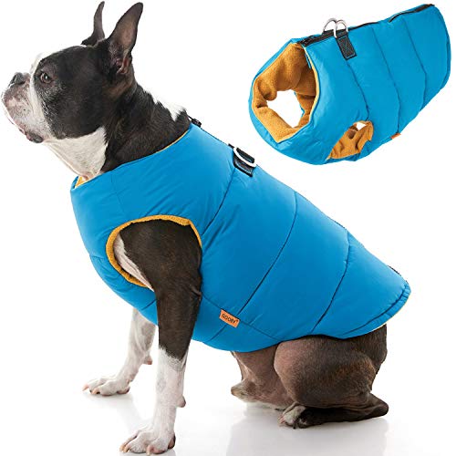 Gooby Padded Vest Dog Jacket - Solid Turquoise, Medium - Warm Zip Up Dog Vest Fleece Jacket with Dual D Ring Leash - Water Resistant Small Dog Sweater - Dog Clothes for Small Dogs Boy and Medium Dogs