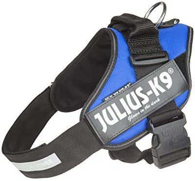 julius canine harness amazon