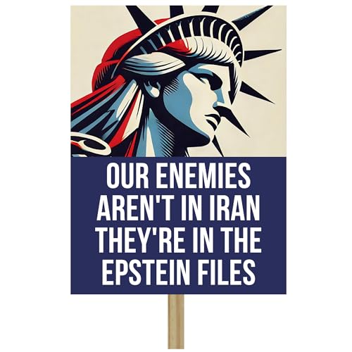 Our Enemies Arent In Iran Theyre In The Epstein Files Protest Sign With Handle Stick Anti Corruption Protest Justice Awareness Campaign