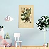 Para la impresión de imágenes, utilizamos tinta resistente a la decoloración para hacerlo de acuerdo con los más altos estándares, y el color y el estilo se pueden aplicar en cualquier lugar. Muy adecuado para la decoración del hogar, pintura de decoración de paredes perfecta para sala de estar, dormitorio, cocina, oficina, hotel, restaurante, baño, bar, etc.