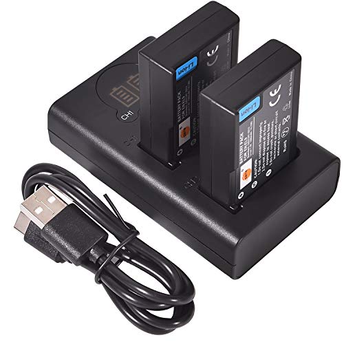 DSTE 2X EN-EL9 Ersatz Batterie + Duales USB-Ladegerät mit LCD-Display Kompatibel mit Nikon ENEL9 EN-EL9A und Nikon D40 D40x D60 D3000 D5000 Digital