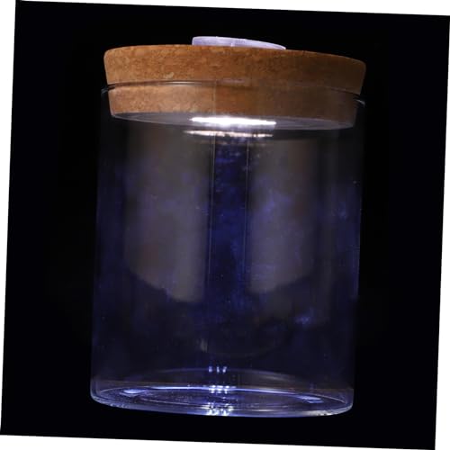 LIFKICH 1個 風景ボトル led light 蘭のプランターポット 植木鉢 屋内用 透明なキャンディーの瓶 エアプランター電球ガラス花瓶 サンゴの瓶 新鮮な 蘭の鉢 DIY マイクロランド