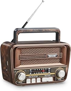 Gelielim Retro Radio AM FM Kurzwellenradio