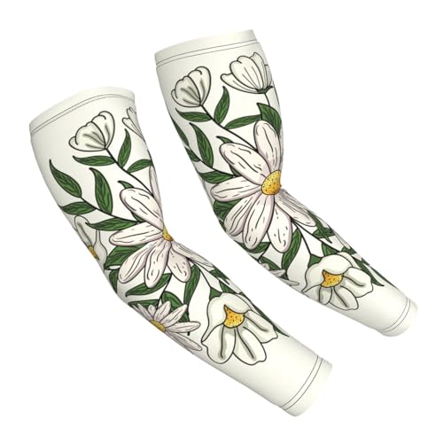 Chioee A[Jo[ uvJbg J~[ fCW[ ԕ ⊴ rJo[ Ђ O A[X[u ʋC Lk X|[c  Ăh~ Y fB[X O΍  EghA X|[c ނ ^] ]ԗp jp 2