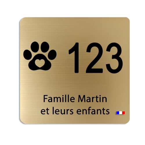 Plaque boîte aux lettres personnalisée 8x8 cm – pictos animaux, loisirs, symboles– Acrylique Or ou Argent brossé – Numéro + 3 lignes – Gravure laser premium – Fabrication Française (Or Brossé)