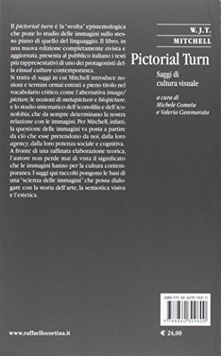 Pictorial turn. Saggi di cultura visuale