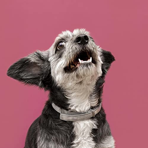 Bioclub Higienizador Bucal