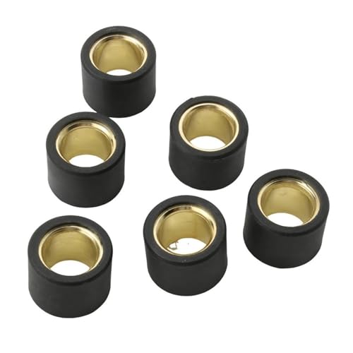 Rouleau de variateur 21x17mm pour rouler sereinement en Gp1 250 R au quotidien