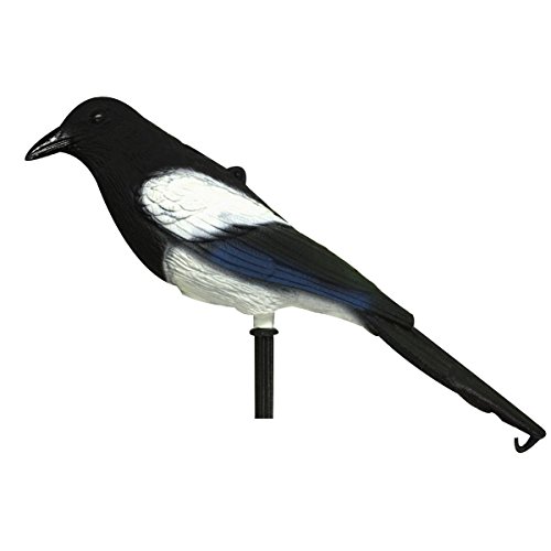 Magpie with Stake by Sport Plast