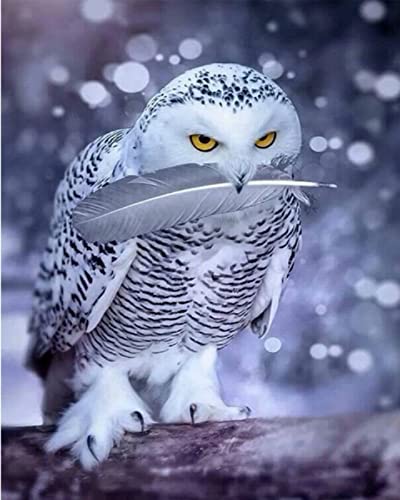 Diamant Malerei, DIY 5d Diamant Malerei Bilder, Diamant Malerei Kits Malen Nach Zahlen Wohnzimmer Bilder Für Wohnkultur (30 × 40 cm) -Eule Cover