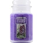 Yankee Candle Lilac Blossoms Scented, Classic 22oz Large Jar Single Wick Candle, Over 110 Hours of Burn Time, Perfect for Gifting, Gatherings and Seasonal Decorations - Image 2
