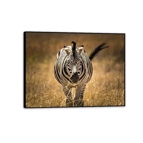 Impression sur Toile Zèbre Premium Finition Cadre Noir