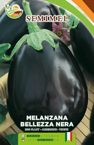 Melanzana Bellezza Nera - Semi di Melanzana Viola Scura, Ciclo Medio-Precoce, Pianta Vigorosa, Adatta a Pieno Campo 1 confezione