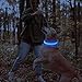Domagiker LED Dog Collar Rechargeable - Waterproof Light Up Dog Collars, Adjustable Glow in The Dark Pet Collar, Safety Dog Lights for Night Walking (Medium, Blue)