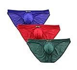 BRAVE PERSON Sexy Breathable Gauze Fabric Printing Briefs Men's Bikini Underwear B1124 (L, Green/Red/Blue)
