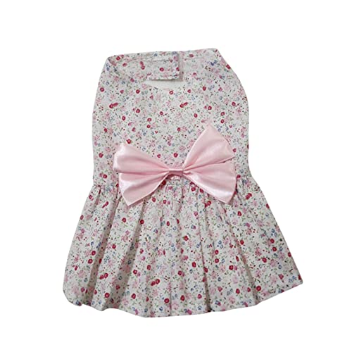 Kisangel  ԕ{tXJ[g ʋC yʉK ybgps[X ^ U₨o