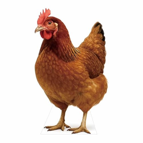 Hen Cardboard Cutout 2 Feet – Life-Size Realistic Animal Standee for Parties, Events & Classroom Displays, Style 1