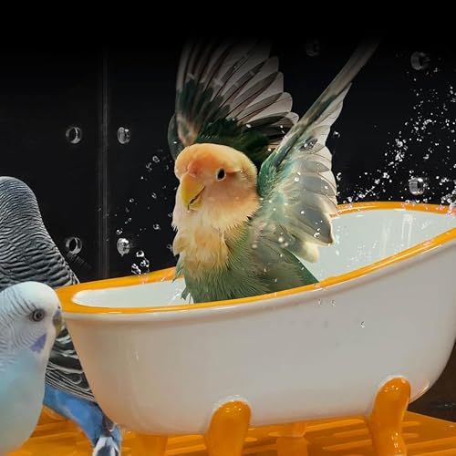 Image of GuineaLoft Small Pet Bathtub - Generously-Sized Ceramic Bathtub for Birds' Water Baths or Hamsters' Sand Baths, Also Works as a Food Bowl - Visit the GuineaLoft Store for More