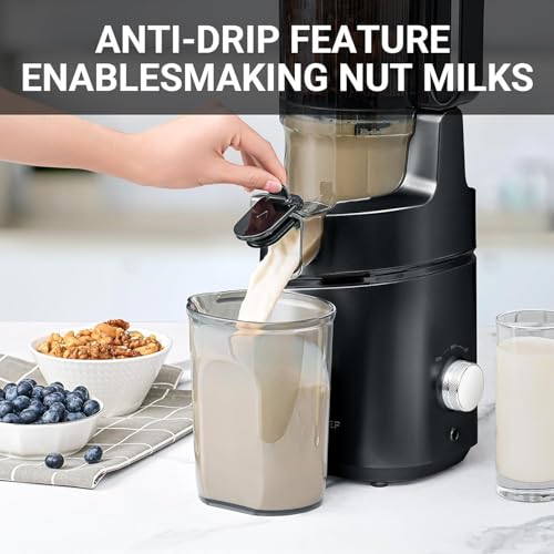 AMZCHEF Automatic Cold Press Juicer Machines 250W Liberate Your Hands -145MM Opening and 2L Capacity Slow Juicers for Whole Fruit and Vegetable, with Triple Filter, Safety Lock, Classic Black