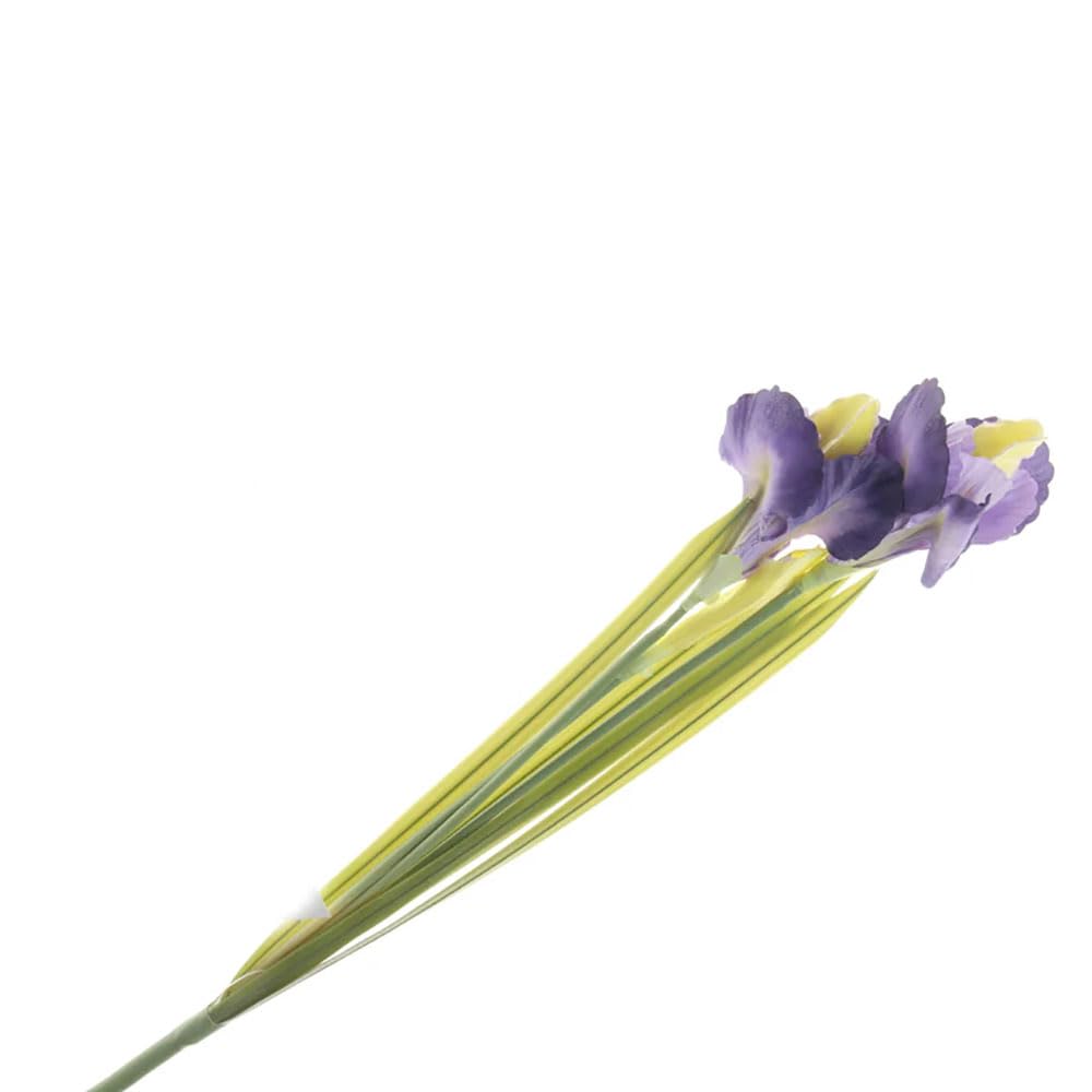 FloristryWarehouse Faux Silk Artificial Iris Bunch Purple Yellow 3 Flower Heads 63cm