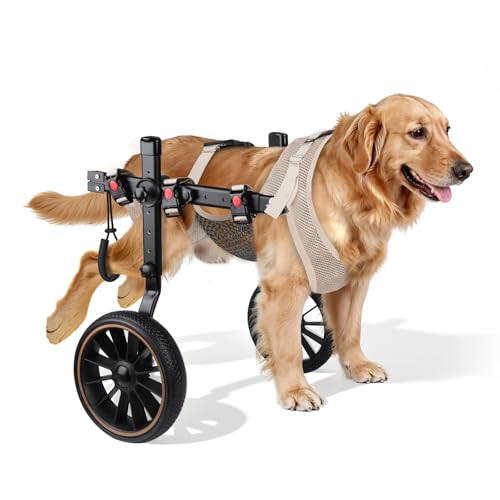 2-Wheel Dog Wheelchair for Back Legs - Adjustable & Detachable Design with Reinforced Safety Buckles Open Design for Easy Potty Breaks Helps Weak & Senior Dogs Walk Again 44-66 lbs XL HLDW-01XL