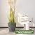 Dexceder Dumpy Round Series Self Watering Planter