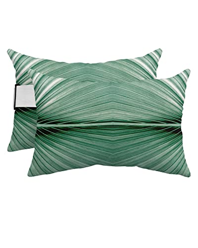 Futuregrace Outdoor Pillows with Insert 2 Pack-11