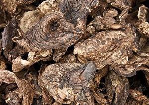 Sarcodon Aspratus Mushroom Dried 310 Gram #TOP19