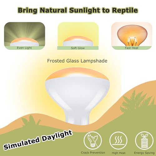 Image of 75W Reptile Heat Lamp Bulbs, 2.5 Inch UVA Amphibian Basking Spot Light for Bearded Dragon, Lizard, Tortoise & Chicks - Simulated Sunlight, Daylight Bulb for Aquariums and Tanks | 2 Pack