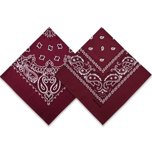 Dorilin 2 Pack Types of Paisley Pattern Bandanas 22x22 Inches Cotton Bandanas Handkerchief Face Mask for Men & Women (Burgundy-2 Pack)