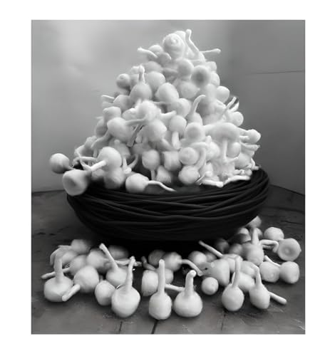 Mecha de Algodón Redonda Seven Chakra 500 piezas miniatura 2