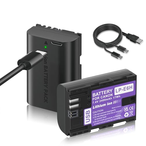 Mspalocell 2 piezas LP E6 batería de repuesto 2400mAh con carga USB Tipo C, compatible con cámaras Canon EOS 5D Mark II, EOS 5D Mark III, EOS 6D, 5DS, 7D, 60D, 60Da, 70D, LP E6N