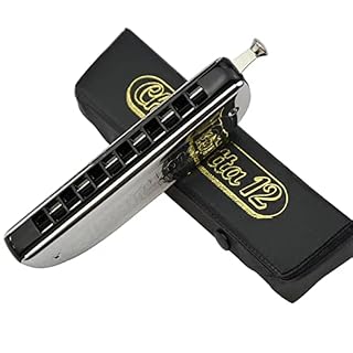 Harmonica Harmonica couleur 12 trous harmonica 48 voix harmonica C key instruments Hohner 255 chromata - Les Beatles, Paul McCartney, John Lennon, RIngo Starr, George Harrison Harmonica Harmonica couleur 12 trous harmonica 48 voix harmonica C key instruments Hohner 255 chromata – Image 3