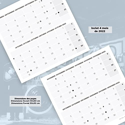 Grupo Erik – Calendrier Mural 2023 The Beatles – 12 MOIS | Janvier 2023 à Décembre 2023 | 30 x 60 cm, Certifié FSC,en… - Les Beatles, Paul McCartney, John Lennon, RIngo Starr, George Harrison Grupo Erik - Calendrier Mural 2023 The Beatles - 12 MOIS | Janvier 2023 à Décembre 2023 | 30 x 60 cm, Certifié FSC,en… – Image 5