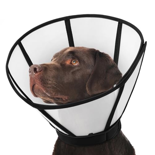 Image of Dog Cone, Soft Cone for Dogs to Stop Licking, Transparent Pet Recovery Collar with Detachable Clear Shield, Neck E-Collar Alternative for Small Breeds, Black S