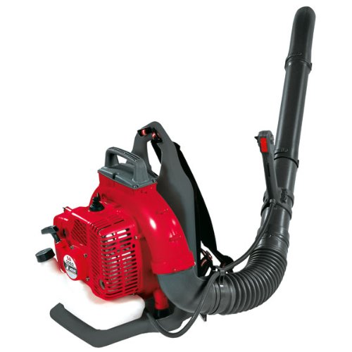 Efco SA 2062 - Soffiatore a benzina a zaino, 61cc