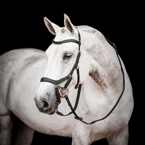 Bridon Micklem 2 Competition Horseware noir X Full soulage les pressions