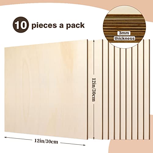 Bercoor 10 Pack 12 X 12 Inch Craft Wood, Plywood Board Basswood Sheets, Premium Unfinished Wood Sheets For Diy Wooden Plate Model, Arts And Crafts, School Projects #TOP1