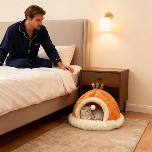 室内猫ハウス,動物 家具 ボール トイ 付き - 冬用ペット室内ハウス猫用,遊びと休息用 小型中型大型猫種 リビングルーム ベッドルーム ガレージ