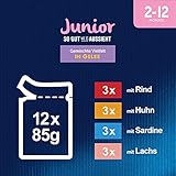 Felix So gut wie es aussieht Junior Kittenfutter nass in Gelee, Sorten-Mix, 6er Pack (6 x 12 Beutel à 85g)