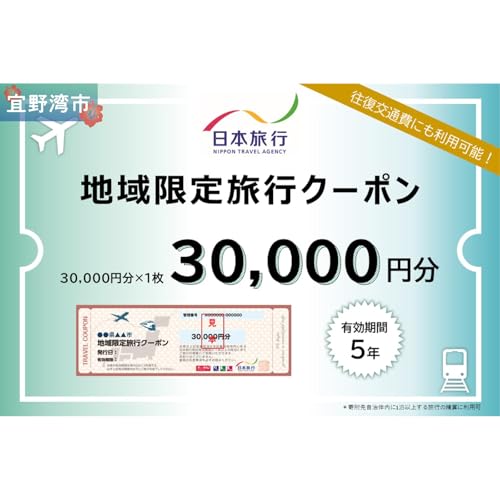 沖縄県 宜野湾市 日本旅行 地域限定旅行クーポン (紙券)[30,000円分][沖縄 旅行 トラベル クーポン ホテル 観光 宿泊券 ふるさと納税]