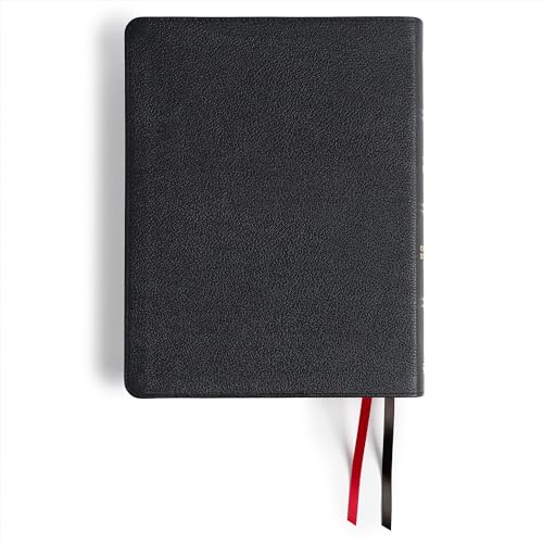CSB Men of Character Bible, Revised and Updated, Black Genuine Leather, Black Letter, Articles, Character Profiles, Videos, Cross-References, Easy-to-Read Bible Serif Type - image 8
