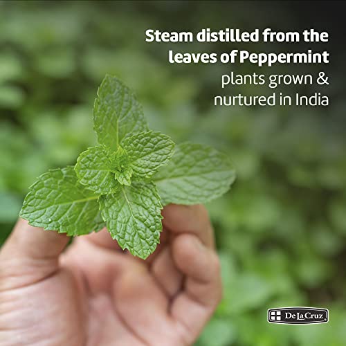 De La Cruz Peppermint Essential Oil - 100% Peppermint Oil for Aromatherapy - Steam Distilled - 2 Fl OZ - Thumbnail 4
